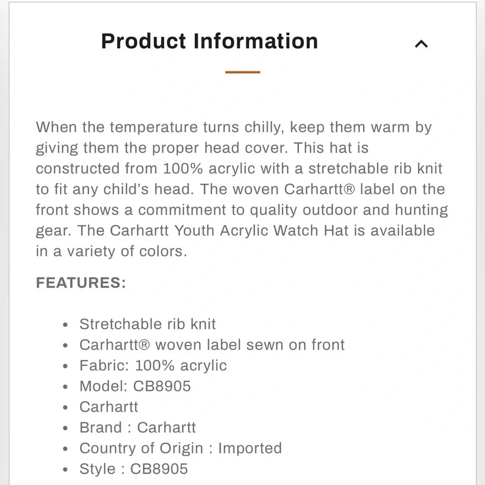 CARHARTT YOUTH BENIE HAT O/S White NWOT